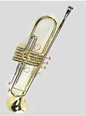 麦格维特乐器MTR-300G降B调小号乐器演奏型音乐专业亮金便携