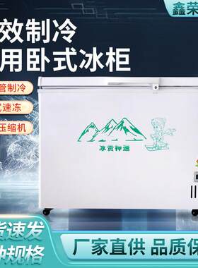商用大容量卧式冰柜冰箱家用冷藏柜保鲜冷冻柜全铜管商用卧式速冻