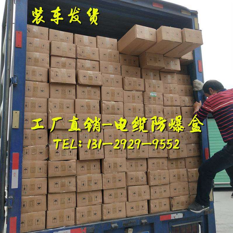 电缆防爆盒10KV电缆中间接头保护盒适用电缆3X25mm2