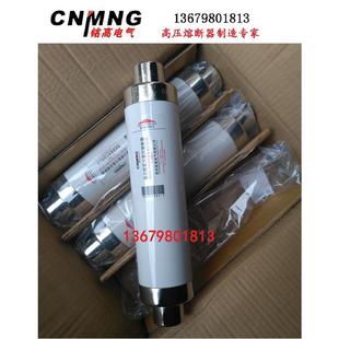 125 31.5 160 高压限流熔断器XRNT1 100