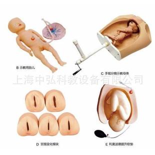 综合腹部触诊分娩机转模型 F54高级腹部触诊分娩机转综合模型