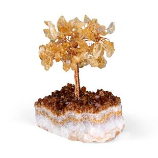 天然水晶树摆件原矿石底座家居装饰桌面样板房创意工艺品