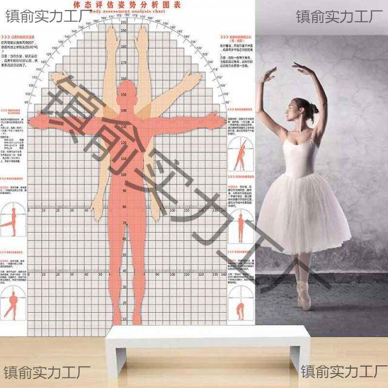 体态评估表系统瑜伽健身私教体测表体位体姿测试图体型评估图壁纸