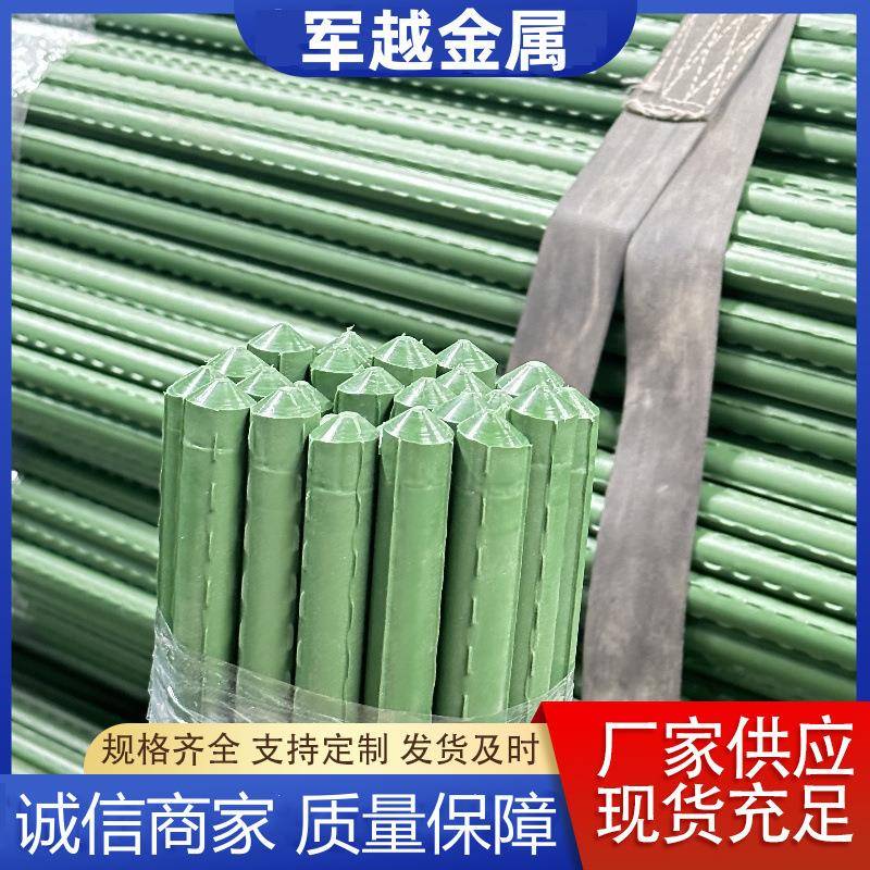 植物爬藤架包塑钢管菜园果园花园支架黄瓜豆角西红柿葡萄月季花