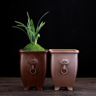 紫砂花盆创意四方兽头桌面老庄盆景仿古透气蝴蝶兰百合君子兰