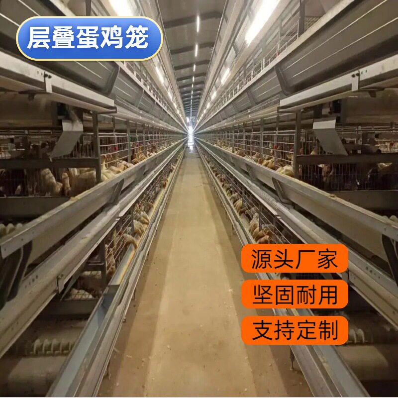 大层叠式蛋鸡笼三层四层全自动蛋鸡养鸡设备养殖场鸡笼设备