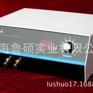 02B型无油真空泵实验室真空泵