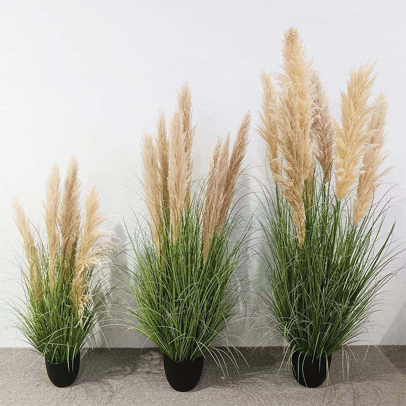 仿真植物芦苇假草拂尘商场酒店橱窗摆件绿植芦柴干花芦苇场景搭配,纺织面料/辅料/配套,纺织机械配件,淘宝优惠券,粉丝福利购,淘宝优惠卷