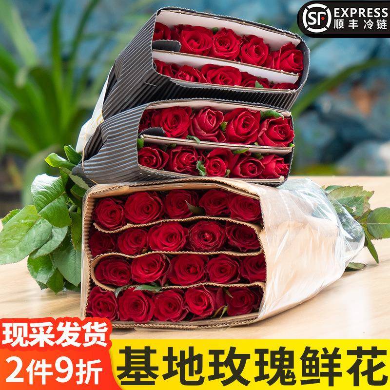 云南昆明鲜花基地直发红玫瑰花斗南直批家庭水养玫瑰花