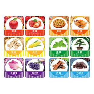 幼教儿童感觉统合训练教具嗅觉训练板套装锻炼鼻子分辨气味嗅觉板