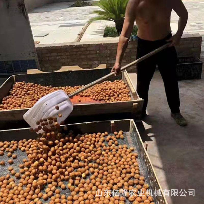 全自动核桃去壳机鲜不皮破山核桃脱碎壳机青核5714258桃脱剥皮机