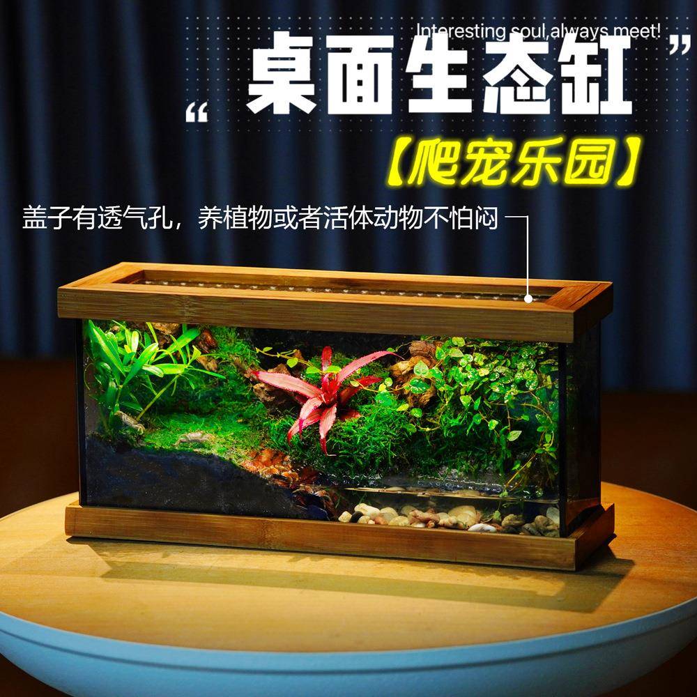 桌面态生饰缸迷你绿植室盆栽生态瓶苔藓微景观装摆件RON送礼景内