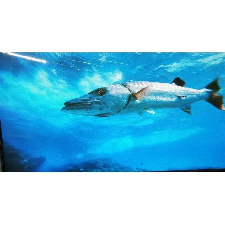 室内高清ED显示屏现货1.25贴59976全彩单表元P板（美奥马L哈）,农机/农具/农膜,其它农用工具,淘宝优惠券,粉丝福利购,淘宝优惠卷