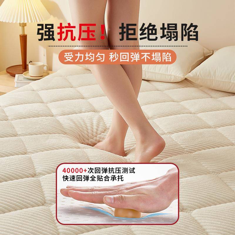 加冬天床垫软家用褥子垫水晶绒垫冬季厚被褥铺底789保暖榻榻米垫