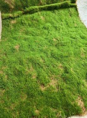 仿真苔藓装植绒绿色苔藓青假景苔微景观盆装饰材料草END坪草皮饰