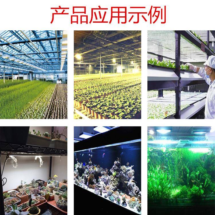 1率00W物白暖光集成投光灯JH-100WW灯珠植补光灯摄影灯大功led