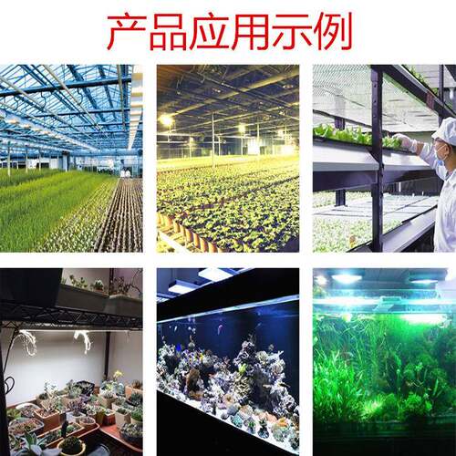 1率00W物白暖光集成投光灯JH-100WW灯珠植补光灯摄影灯大功led