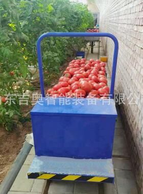 农用园大棚轨道车果板电动遥46276控搬运路运铁输车蔬菜平大棚车