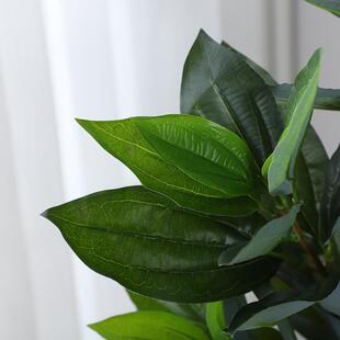 绿厂家人造仿真植物平安树·幸福树盆景内植盆居栽客厅室家装饰摆