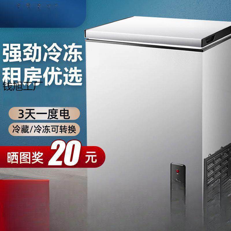 小冷柜小型冰柜家用大容量商用立式冷冻冷藏柜两用节能迷你