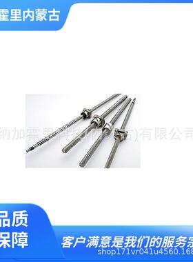 TSK竹内精工滚珠丝杠RGPT1004C3T-2.5-230/380/530