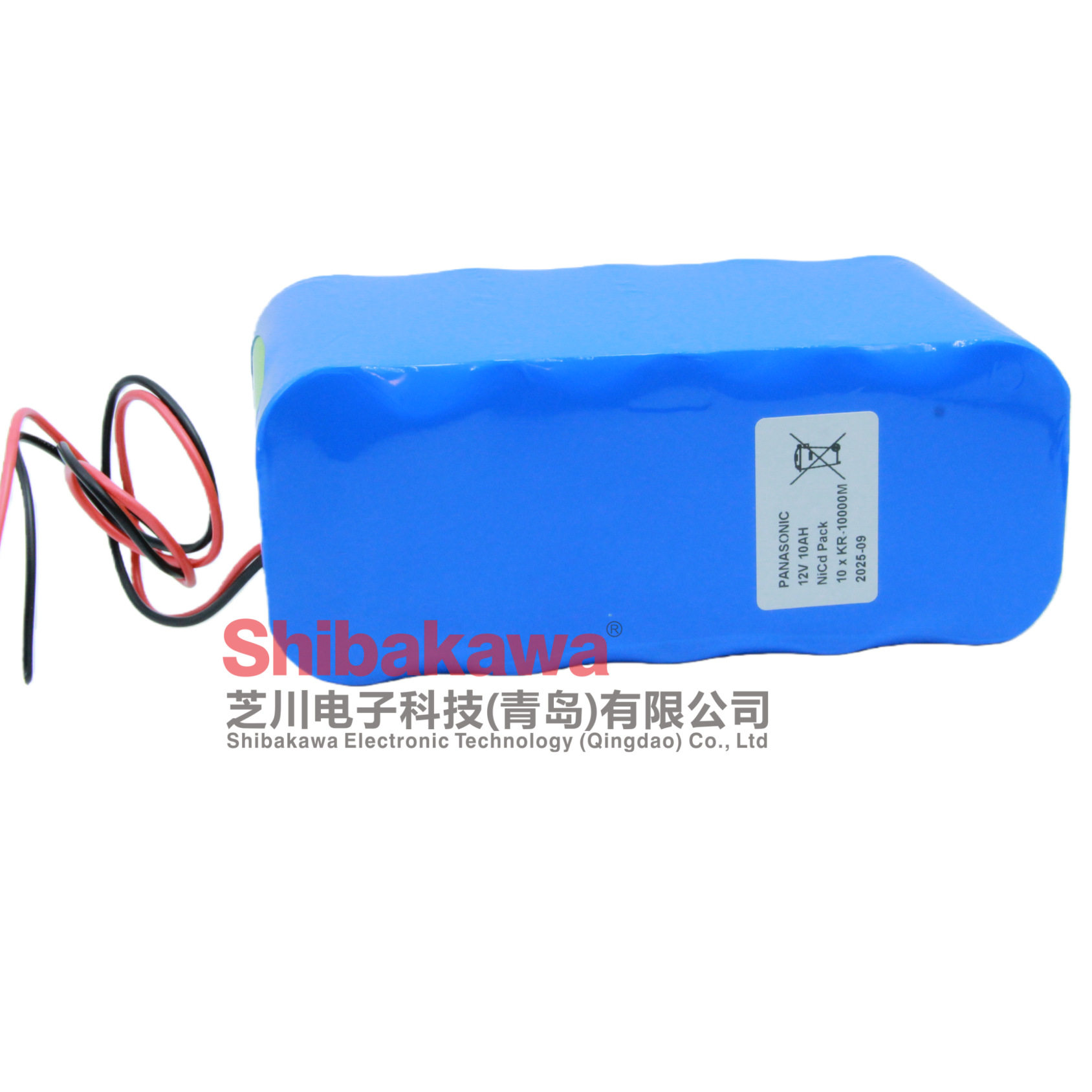 镍氢充电 电池组 10x KR.10000M 12V 10Ah 仪器设备 NI-MH 电池