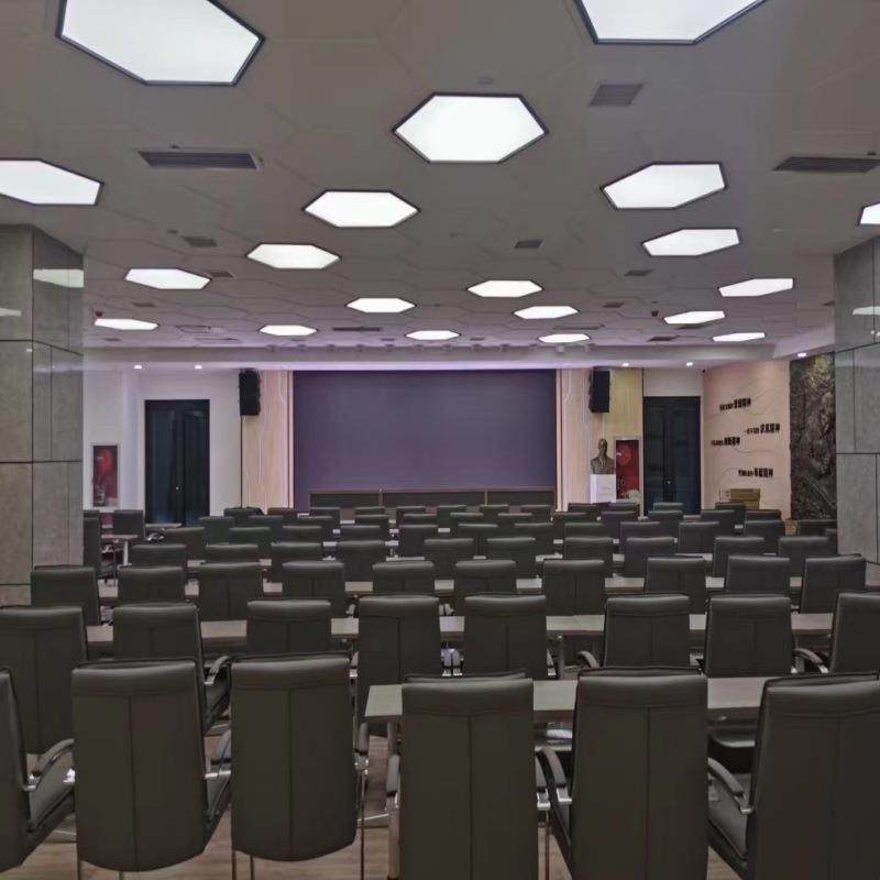 深圳猛帝森502A音箱会议系统专业会议室音响多功能厅音箱