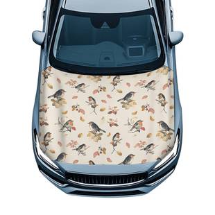 鸡鸟花卉车衣套泳装布材防质车罩车防轿晒尘套TOL四季通用汽车盖