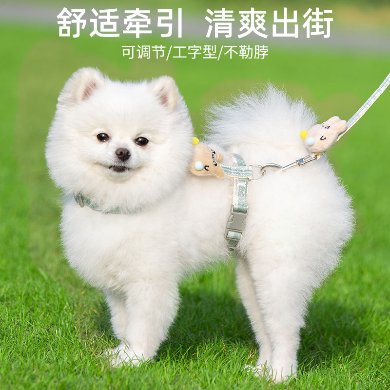 猫咪牵引绳防挣脱遛猫绳外出专用背带链子宠物工字型猫绳子小型犬,宠物/宠物食品及用品,猫牵引绳,淘宝优惠券,粉丝福利购,淘宝优惠卷