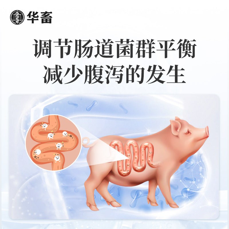 华畜丁酸梭菌原液鸡儿健em菌肠道猪牛羊益生菌诱食促生长菌种图片