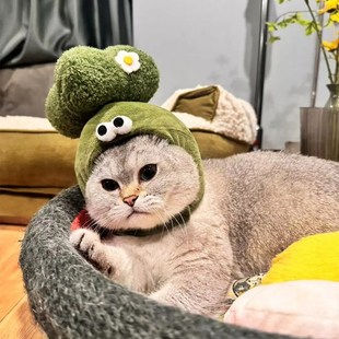KKV果蔬系列宠物头套猫咪头饰可爱拍照毛绒装扮帽子头套