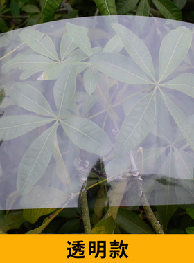 雷盛A3装订胶片PP封面PVC标书塑料封皮装订胶片A4夹条封面半透明