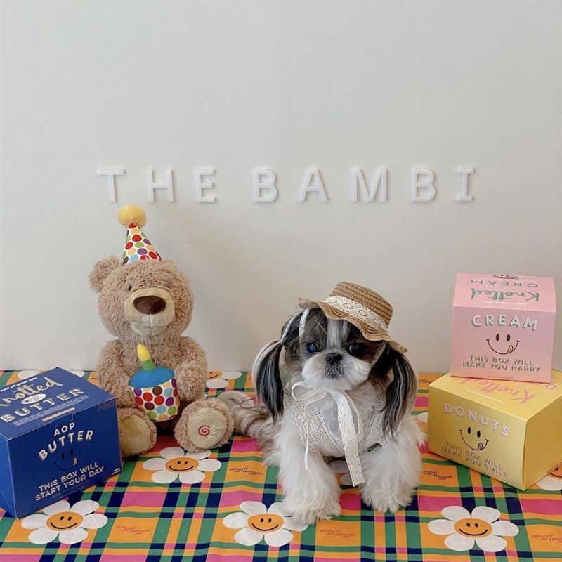 韩国猫咪宠物狗帽子小型犬泰迪比熊防晒遮阳帽田园风装饰拍照头饰