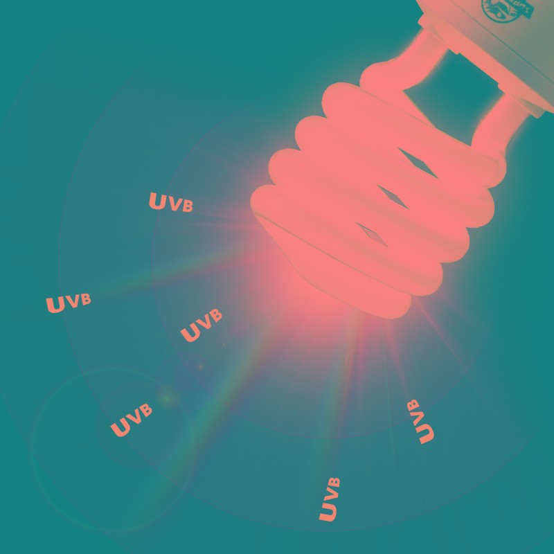 爬虫uvb灯乌龟晒背灯蜥蜴饲养箱树蛙雨林缸补钙灯多肉太阳灯10.0