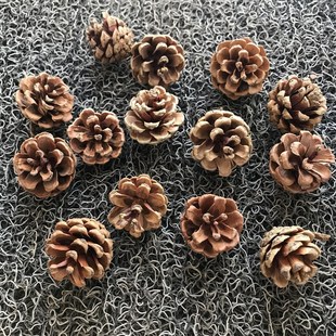 包邮 30个小松果油松天然松果松塔工艺摆件道具拍照造景材料2 5cm