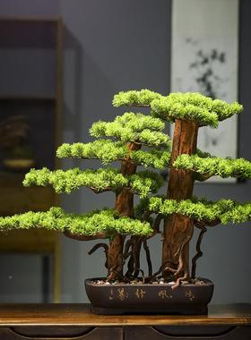 新中tb-66622式仿真迎客松景盆假罗树绿关植玄摆件酒店装饰汉松大