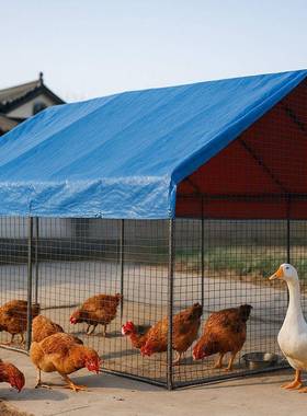 户外鸽鸡棚特大ZWH号家禽鸡笼养鸡孔雀防笼雨鸡家舍大型搭建用养