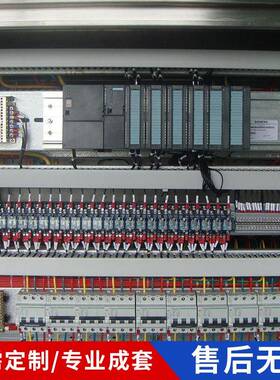 LU专PLC控PLC20193自动化属控制柜C自动工化控制柜PLC柜