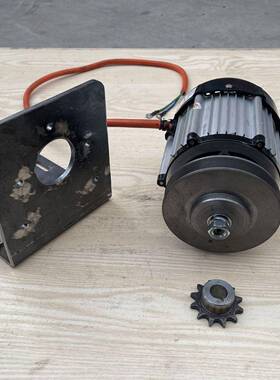 低速212V24VV48伏电60伏MBB72伏8496V000瓦W直流发机永磁无刷线