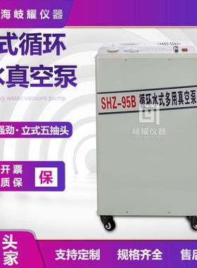 式立SH573Z-5B循环水真空泵实蒸验室馏减压小型双表双抽多用真空9