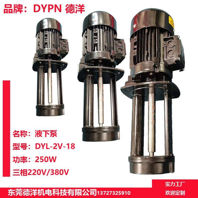 东德洋JDP牌床高压水泵莞浸入式循机环泵电动水泵D2机床Y油泵
