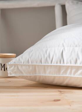 经体典爆款全4棉立体决明枕48xZX21607cm枕头子立荞麦枕枕芯