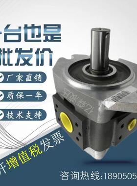 德国VOITH福伊特齿轮泵IPVP4/IPV4-13/16/20/25/32-101/171油泵