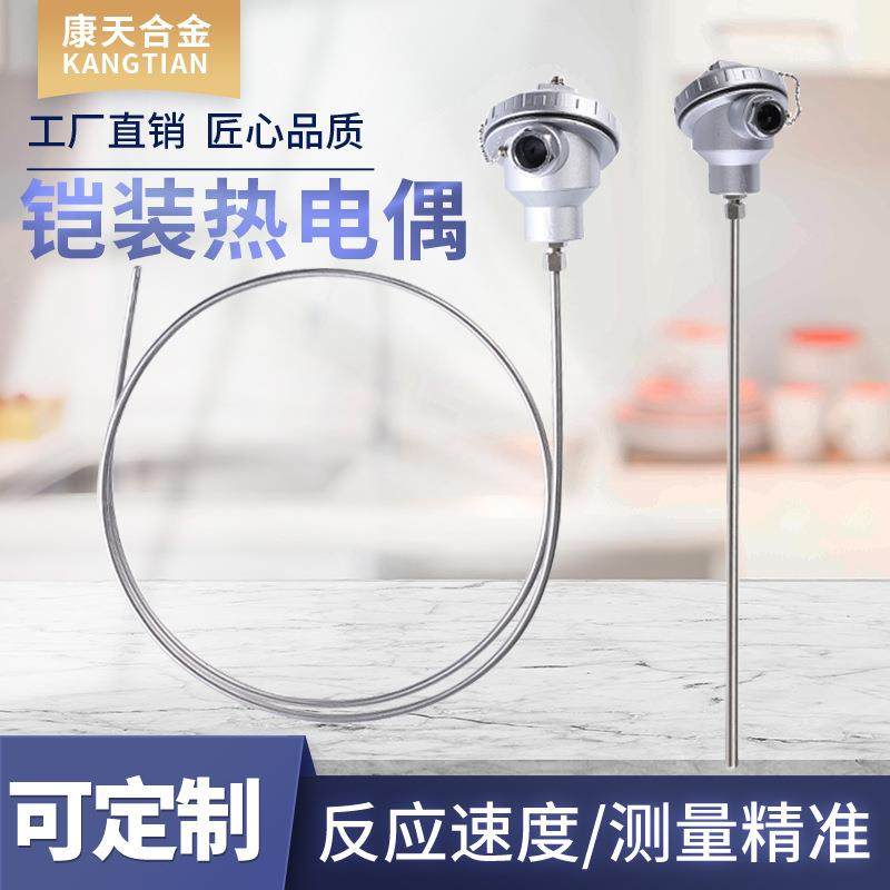K型铠高温热3电偶WRN-131WZPK-2K1548铂热电阻PT100探针温度传装