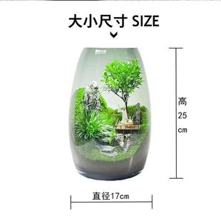 （云海间）微山景观创F-013假造景植物家居客室内厅意办公室桌面