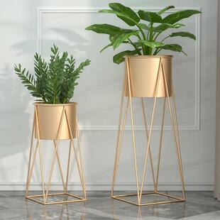 欧室内铁艺爬藤花架客厅阳台简易绿植造型架落地式花盆栽置物架