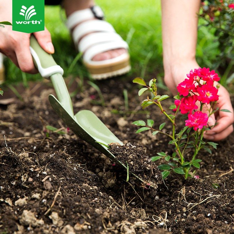 沃施小铲子爪子锄头种花种菜挖土除草松土赶海挖沙铁铲套装工具