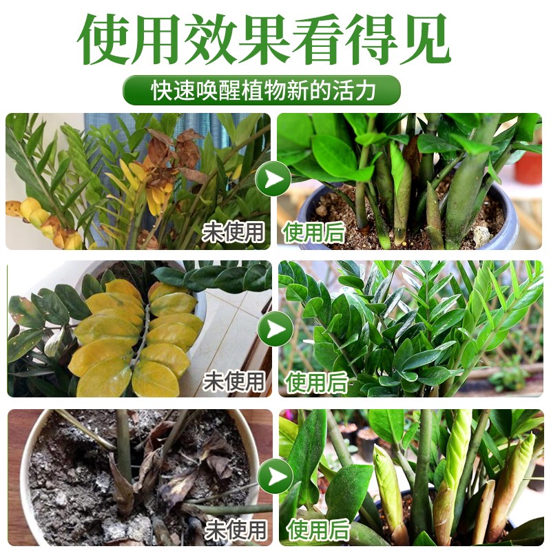 金钱树专用营养液叶子发黄烂根专用肥料钱串子盆栽叶面肥摇钱树