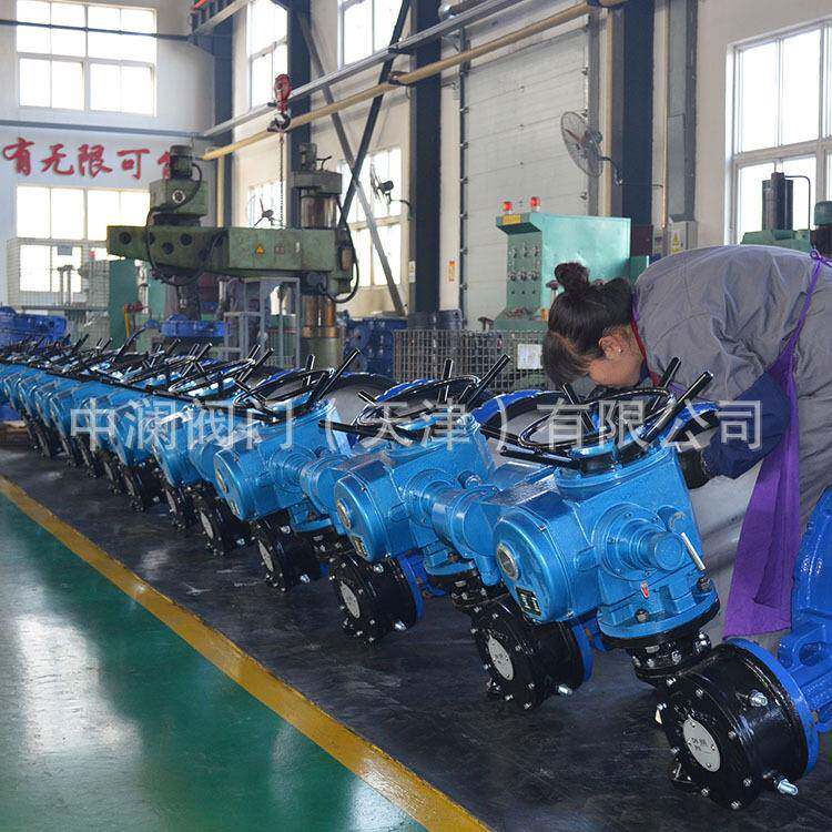对夹6蝶阀97封1X-10QDN00软密蜗轮国标工业阀阀门D蝶形双318作用