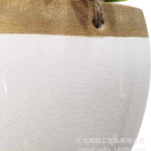 吊个盆花盆悬挂式 SP676垂吊水创意性吸仿真多盆肉绿萝花盆 吊兰HY